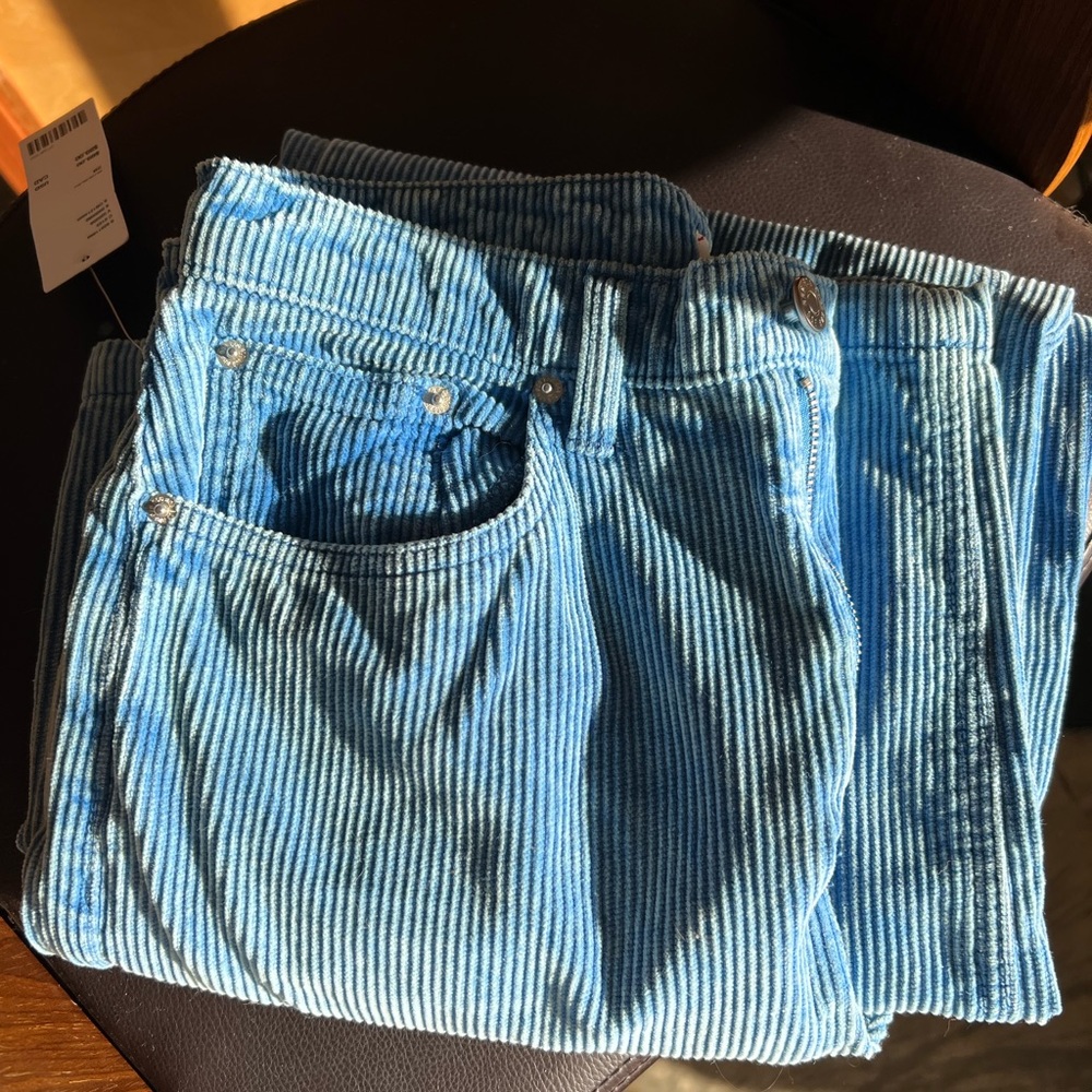 NWT High&Wide Blue Curduroy BDG Pants